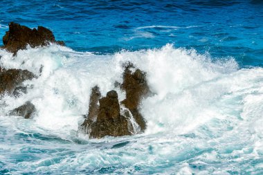 Majestic Okyanus Dalgası Madeira 'da Kayalara Çarpıyor