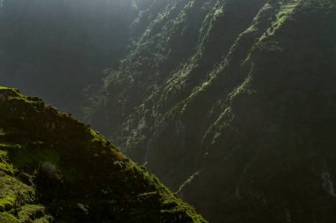 Madeira Adası 'nda güneşli yeşil dağ yamaçları
