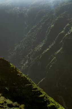 Madeira Adası 'nda güneşli yeşil dağ yamaçları