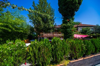 Açık Bahçe Kafesi Parlak Güneş 'te Yeşil Çitler, Ağaçlar ve Pembe Şemsiye.