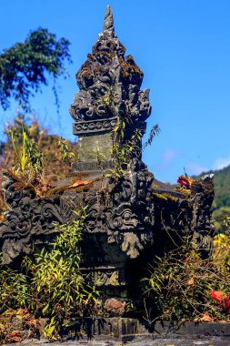 Tropikal bitki örtüsüyle kaplanmış Antik Bali Tapınağı kalıntıları