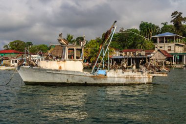 Pelikanlar Livingston, Guatemala 'da Balıkçı Teknesine Dinleniyor