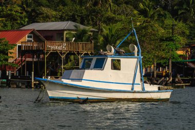 Pelikanlar Livingston, Guatemala 'da Balıkçı Teknesine Dinleniyor