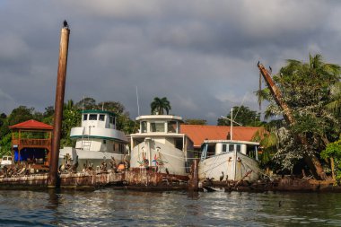 Renkli tekneler Livingston, Guatemala 'daki Karayipler rıhtımına yanaştı. Tropikal palmiye ağaçları, canlı binalar ve dramatik bulutlar canlı bir sahil atmosferi yaratıyor..