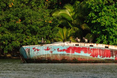 Livingston, Guatemala 'da terk edilmiş tekne ve deniz kuşları.
