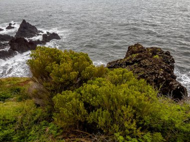 Yoğun yeşil bir kıyı çalısı ile Madeira 'nın rüzgarlı kayalık kıyıları dalgalı gri okyanus dalgalarını ve pürüzlü volkanik kayaları, dramı, yalnızlığı ve doğal dayanıklı güzelliği anımsatıyor..