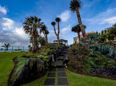 Yıpranmış taş basamaklar, palmiye ağaçları ve engebeli volkanik kayalarla çerçevelenmiş verimli tropikal bir bahçeye tırmanıyor ve yumuşak bulutlu, parlak mavi bir gökyüzünün altında bir pergola ve eve doğru yol alıyor..