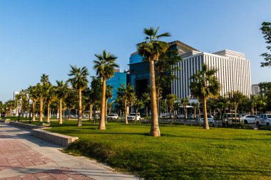 Çağdaş ofis binaları, park edilmiş araçlar ve kentsel yeşil alan, iş bölgesi atmosferi ve sıcak, açık hava yoluyla yayaya çıkan yaya geçidi ile dolu bir şehir caddesi boyunca güneşli palmiye kaplı bir park. Doha, Katar