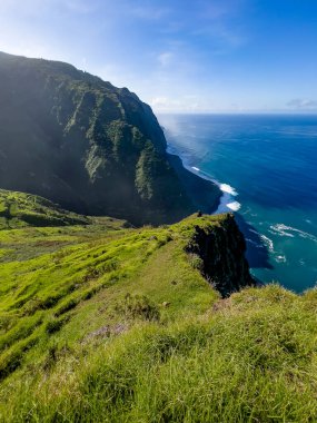 Portekiz 'in Madeira Adası' ndaki derin mavi Atlantik Okyanusuna düşen sarp yeşil kayalıkların nefes kesici manzarası dramatik kıyı manzaralı güneşli bir günde çekildi..