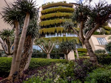 Portekiz 'in Madeira Adası' ndaki Ponta de Sao Loureno 'da engebeli volkanik kayalıkları ve derin mavi Atlantik Okyanusunu aydınlatan altın sabah ışığı adaların dramatik kıyılarını ve doğal güzelliklerini gözler önüne seriyor..