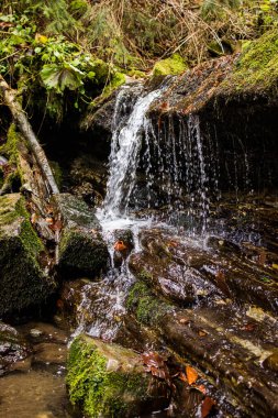 Akan Su Ormanı Şelalesi Sonbahar Dağları