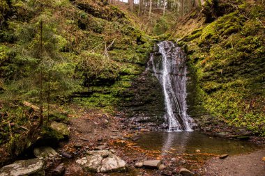 İnanılmaz Şelale Yeşil Ormanı Sonbahar Yeşilliği