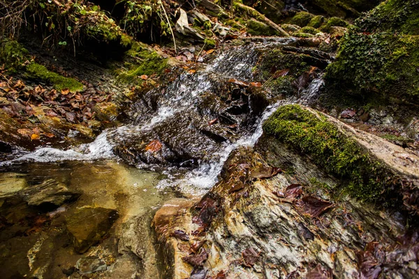 Yosunlu Taşlar Ormanı Şelale Sonbahar Dağları