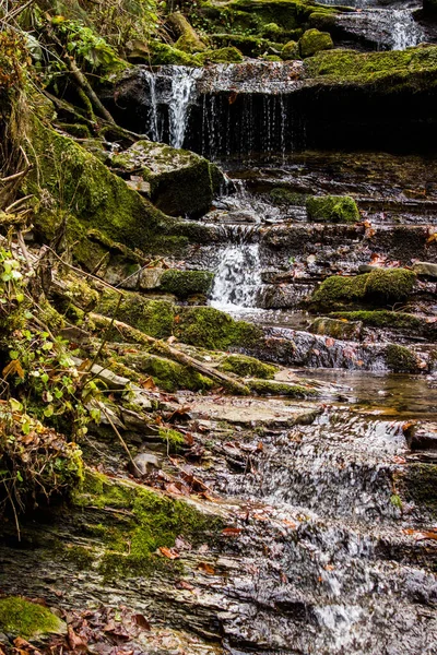 Sonbahar Şelalesi Şelalesi Yosun Taşları