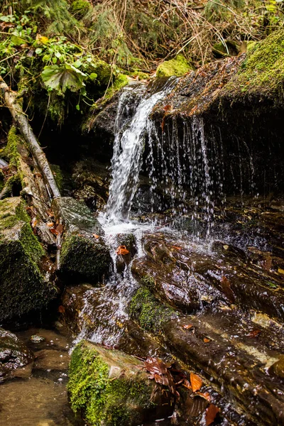 Akan Su Ormanı Şelalesi Sonbahar Dağları