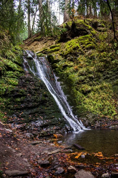 Yeşil Ukrayna Ormanında Sonbahar Şelalesi