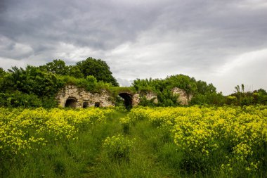 Ukrayna Ortaçağ Şatosu 'nun Gri Gökyüzü Harabeleri 