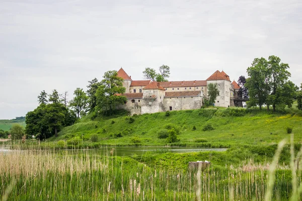 Bela Paisagem Antigo Castelo Ucraniano — Fotografia de Stock