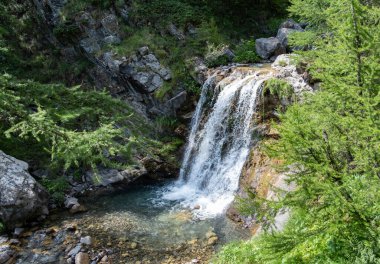 Berrak bir havuza akan sakin bir şelale yemyeşil ve kayalarla çevrili..