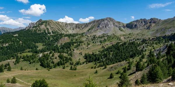 Dağlık bir arazinin panoramik manzarası. Yeşil vadiler ve açık mavi gökyüzünün altındaki dağınık ağaçlar..