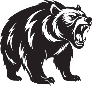 Saldırgan bir siyah ayı dişlerini tehditkar bir şekilde gösteriyor.