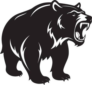 Azgın bir kara ayı ağzı açık kükreyerek keskin dişlerini ve güçlü varlığını gösterir.