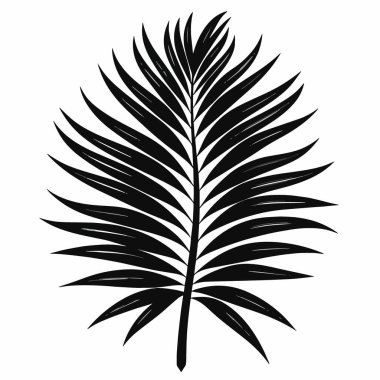 Ayrıntılı bir siyah-beyaz illüstrasyonda düz bir arkaplanda tek bir palmiye yaprağı ve merkezi bir gövde sergilenir.