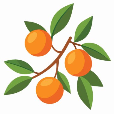 Canlı bir illüstrasyon, yemyeşil yapraklı bir dal ve üzerinde zarif bir şekilde sallanan parlak turuncu meyveler tasvir ediyor.