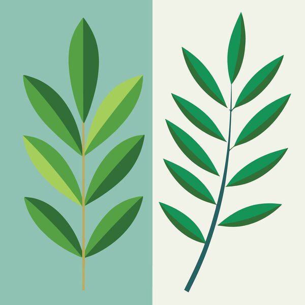 a simple graphic illustration depicting two different types of green leaves against a split background of teal and cream colors