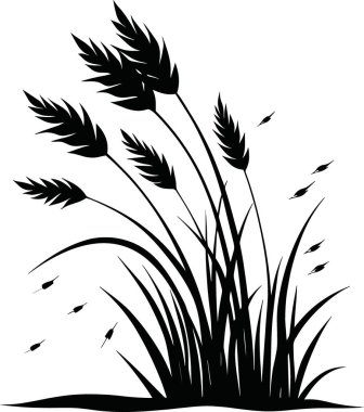 Çarpıcı bir siyah-beyaz çizimi, uzun otlar ve tohum başlarının yavaşça sallanışını tasvir eder.