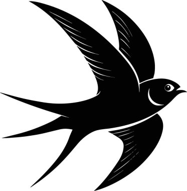 Uçuşan hızlı bir kuşun çarpıcı siyah silueti Aerodinamik şeklini ve sivri kanatlarını sergiliyor