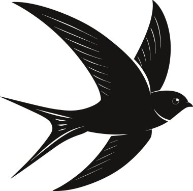 Uçuşun ortasında uçan bir kuşun çarpıcı siyah silueti uzanmış ve zarif bir şekilde yükseliyor.