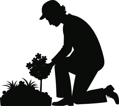 Siluetli bir bahçıvan dikkatlice küçük bir ağaca bakıyor ve yüksek kalitede bir bahçedeki bitkilere bakıyor.
