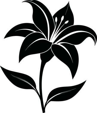 Çarpıcı bir siyah beyaz çizim, zarif kavisli yaprakları ve ince bir gövdesi olan tek bir zambak çiçeğini tasvir eder.