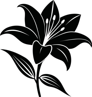 Çarpıcı bir siyah beyaz illüstrasyon, zarif şeklini sergileyen tek bir zambak çiçeğini resmediyor.