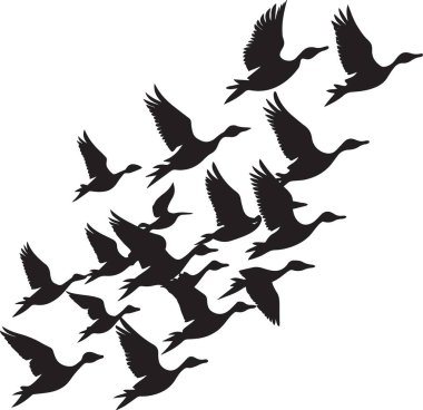 Bir kaz sürüsü siluette bembeyaz bir arkaplan boyunca dinamik bir v formasyonu içinde uçan tasvir edilir.