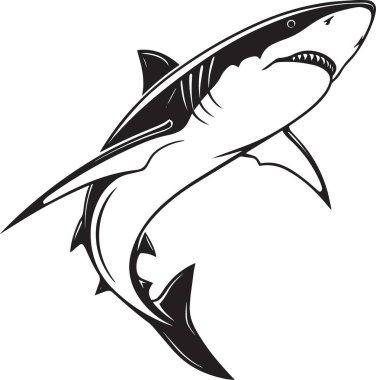 Dinamik yüzme pozisyonunda, ağzı açık saldırgan bir köpekbalığının siyah vektör silueti.