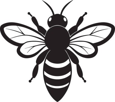 Siyah ve beyaz bir bal arısı çizimi. Önden bakınca geniş kanatları ve detaylı vücut çizgileri var.