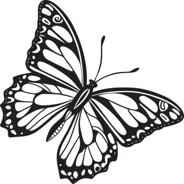 Ayrıntılı damar desenleri gösteren, doğa baskıları ve tasarımları için ideal, geniş kanatlı bir kral kelebeğinin karmaşık siyah ve beyaz çizimi.