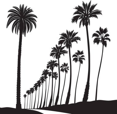Bir sıra uzun palmiye ağacının siyah ve beyaz vektör silueti, tropikal cenneti, tatil yerini ve egzotik manzarayı temsil eden bir caddeyi perspektif olarak kaplıyor.