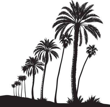 Çimenli bir palmiye kümesinin siyah ve beyaz vektör silueti tropikal ortamı, sahil atmosferini ve ada cennetini temsil ediyor.