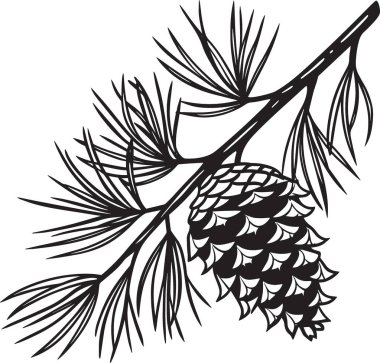 İğneli bir dala asılı bir kozalağın detaylı siyah beyaz vektör çizimi. Doğa, botanik ve mevsimsel tasarımlar için mükemmel.