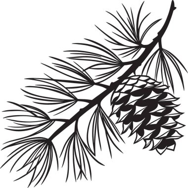 Bir çam ağacı dalının siyah ve beyaz vektör sanatı. Detaylı iğneli çam kozalakları taşıyan, doğa, kış ve tatil projeleri için uygun.