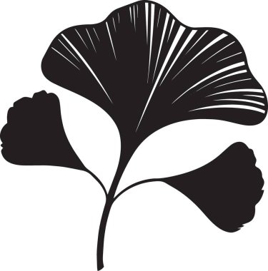Bir dalda iki ginkgo biloba yaprağı siyah vektör silueti, botanik ve doğa tasarımları için mükemmel.