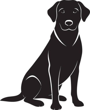 Bir Labrador Retriever köpeğinin siyah siluet vektörü, evcil hayvan, hayvan, köpek sever ve veteriner temalı tasarım projeleri için idealdir.