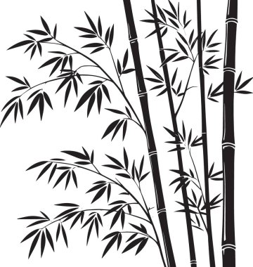 Narin yapraklı bambu saplarının siyah ve beyaz vektör silueti, Asya doğasını ve zen estetiğini temsil ediyor.