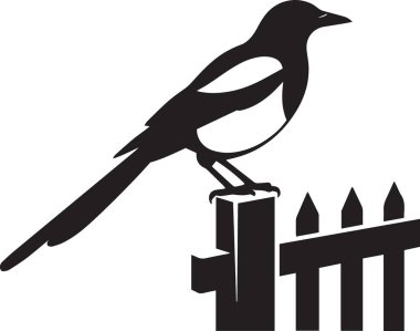 Bir saksağan kuşunun siyah siluet vektörü çit direğine tünemiş, doğa ve bahçe tasarımları için ideal.