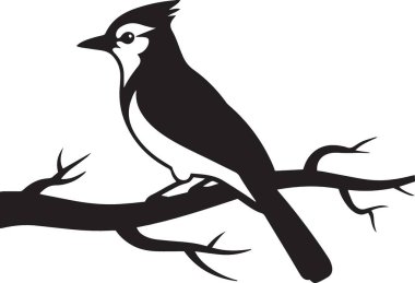 Mavi bir karga ya da beyaz arka planda izole edilmiş bir dalın üzerine tünemiş ibikli kuşun siyah vektör silueti. Kuş izleme, kuş bilimi ve doğa temalı tasarımlar için idealdir..