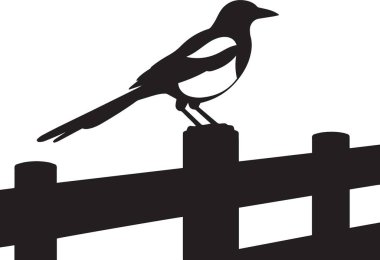 Tahta bir çit direğine tünemiş saksağan bir kuşun siyah vektör silueti kırsal, kırsal ve doğa temalı tasarımlar için mükemmel.