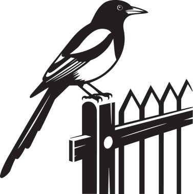 Bahçedeki çitlerin üzerine tünemiş bir saksağan kuşunun siyah siluet vektör çizimi